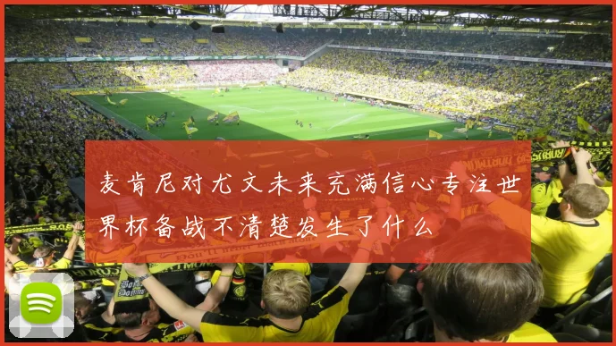 麦肯尼对尤文未来充满信心专注世界杯备战不清楚发生了什么
